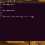 How Case Insensitive Browsing With CD Online Tutorials Of Red Hat Linux At Networknuts