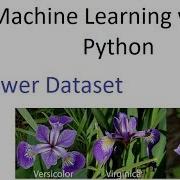 Iris Flower Dataset Part 1