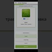 Lingo Trainer Тренировка 1 Слово Перевод