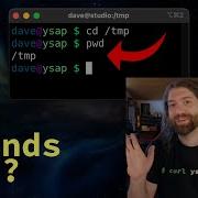 Print Working Directory Present Working Directory A Deep Dive Into Pwd And PWD On Your Unix Shell