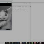 Translation Image Shift In OpenCV Python