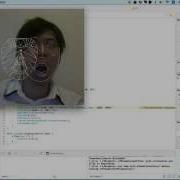 OfxFaceTracker Example Advanced TEST