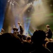 Dolphin дельфин дверь Red Club 07 03 2016