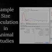 How To Calculate Sample Size In Animal Studies Using G Power Software