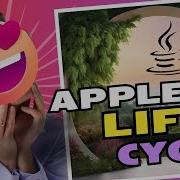 Applet Life Cycle Explained In 8 Minutes