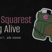 The Squarest Frog Alive Sunday CSS 17