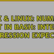 Unix Linux Numeric Test In Bash Integer Expression Expected