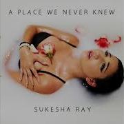 Sukesha Ray A Place We Never Knew Official Audio