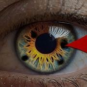 Heal Eye Floaters 432Hz EMDR Binaural Beats The Mozart Effect