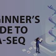 Руководство для начинающих по РНК секвенированию серия вебинаров ResearchersAtWork