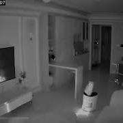 Techno Roomba Cat
