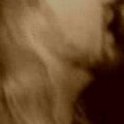 Transfixion What Is Real Ensaio