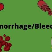 Hemorrhage Bleeding Causes Signs And Symptoms Diagnosis And Treatment