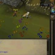 Runescape Fping