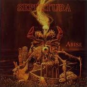 Sepultura Desperate Cry Eb Tuning