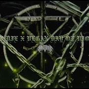 TO THE GRAVE DxE Or Die Vegan Day Of Violence Lyric Video