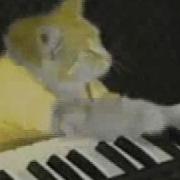 Keyboard Cat Remix