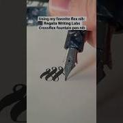 Some Calligraphy Flourishes With My Favorite Flex Nib Per My Previous Video