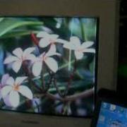 ARM9 PicProje SBC Frame Buffer Viewer
