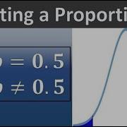 One Sample Proportion Test