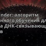 Александр Гавриленко DBP Finder алгоритм машинного обучения для поиска ДНК связывающих белков