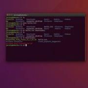 Основы Linux как перемещать или переименовывать файлы и каталоги Mv