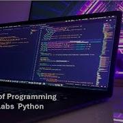 Principles Of Programming Chapter 8 Python Labs 8 1 And 8 2 Swapping Values And Using A Bubble Sort