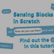 Sensing Blocks In Scratch A Tutorial
