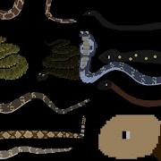 Snakes