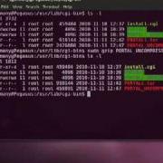 Using The GZIP Command In Ubuntu