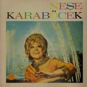 Neşe Karaböcek Bir İhtimal Daha Var