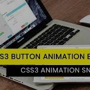 CSS3 Button Text Animation Effect CSS3 Animation Snippets Divinector