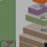 17 Allometric Scaling