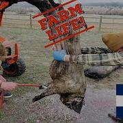 Take A Tour Of Fruition Farms Creamery With Chef Alex Seidel Colorado Farm Life Right Here