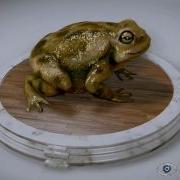Toad Model Rendered In CryEngine3