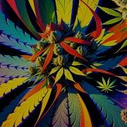 Nexxus 604 Flower Power Psychedelic Trance Mix 4K AI Animated Music Video