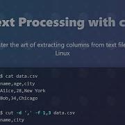 Linux Text Processing Master The Cut Command For Data Extraction