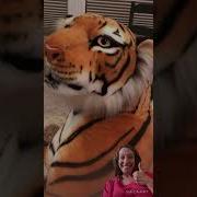 Tiger Love Tiger Plush Toy Kids Fun Funny Ad Shop Jungle Founditonamazon Stripes Love