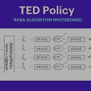Rasa Algorithm Whiteboard TED Policy