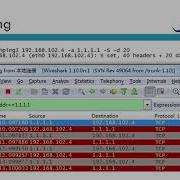 第五课 Fping 和 Hping