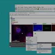 QuickFigures New Features