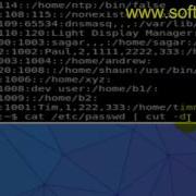 Cut Command Example In Linux