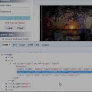 Demo Of FireBug