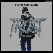 Fivio Foreign Trust INSTRUMENTAL