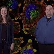 Bioimage Analysis 1 The Basics Getting Started Anne Carpenter And Kevin Eliceiri