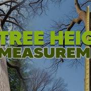 Hoe To Measure The Height Of A Tree Tree Height Measurement Tree Height Measurement