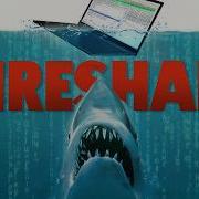 Keylogger Vs Wireshark