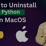 How To Uninstall Python On MacOS Step By Step