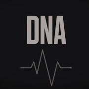 Little Mix DNA Lyric Video