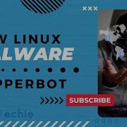 RapperBot Malware Brute Forces Linux SSH Servers
